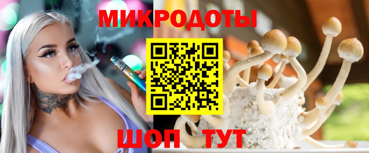Мончегорск  Псилоцибиновые грибы мухоморы  Галлюциногенные грибы мухоморы  Вход с VPN 